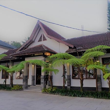 โรงแรมมินักจิงโก บันยูวังงี ภายนอก รูปภาพ